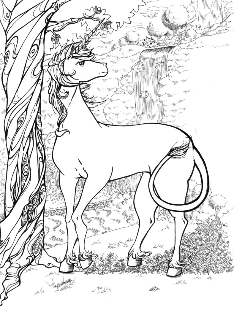 Unicorn coloring pages for adults