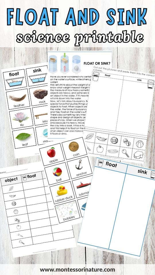 Float and sink activity sorting picture cards answer key and information poster printable