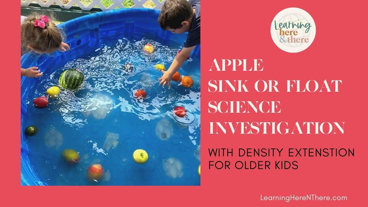 Sink or float apple science for kids of all ages â learning here and there