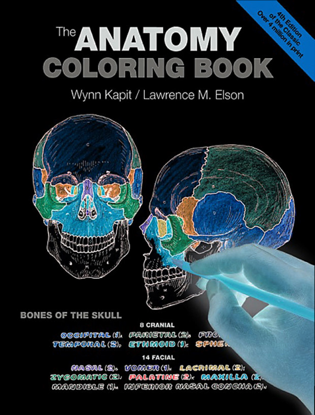 Solution the anatomy coloring book by wynn kapit lawrence m elson