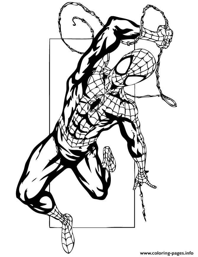 Spider man web colouring page coloring page printable
