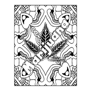 Stoner coloring book for adults cool stoner psychedelic colouring book with trippy hippie designs to color funny stoner gifts for smokers weed lovers men women busters epic