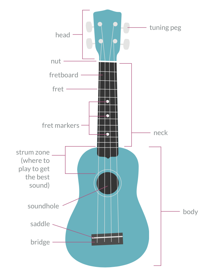 Get to know your ukulele free printable â musical mama