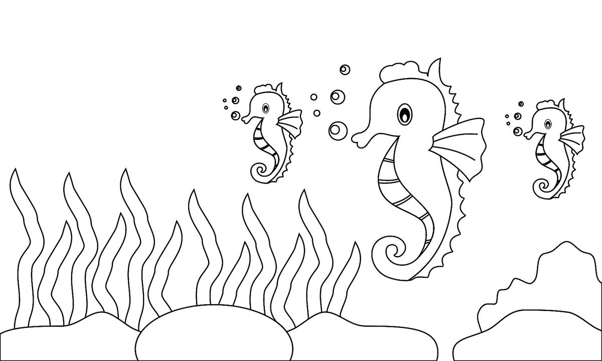 Sea creatures coloring pages fish dolphins sharks other marine life