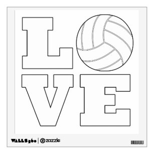 Volleyball wall art dãcor