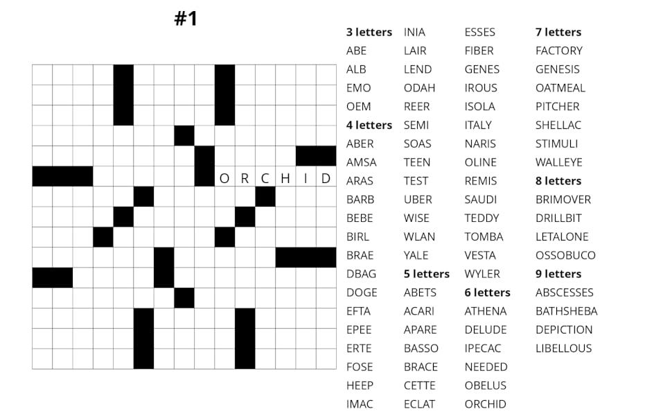 Word fill in puzzles for adults vol fill in puzzle book fill ins word puzzles with starter word and words to fill