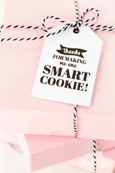 Thanks for making me one smart cookie tag skip to my lou