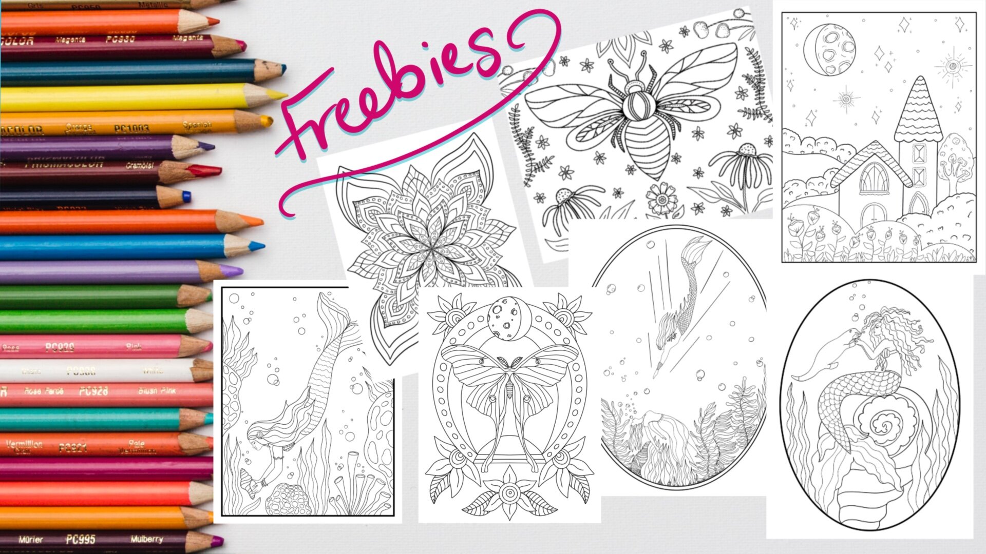 Procreate coloring pages and how to color digitally on your ipad â the swimming owl
