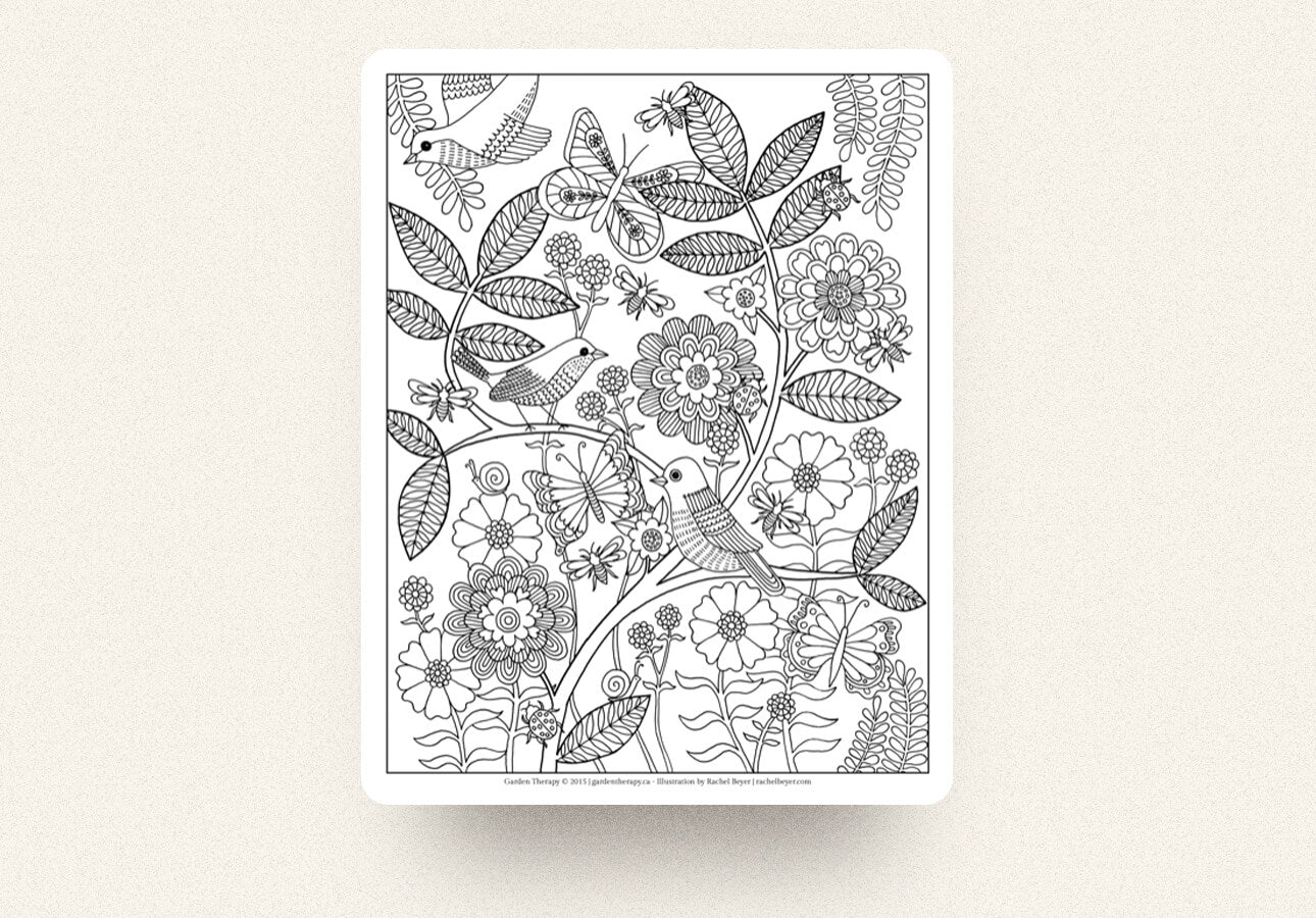 Best procreate coloring pages