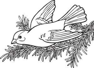 Coloring book willow goldfinch clip art at
