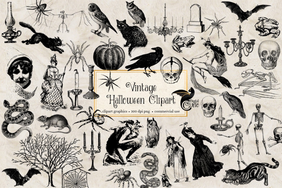 Vintage halloween clipart antique halloween clip art graphics skulls bats owls spiders witches vintage ephemera instant download