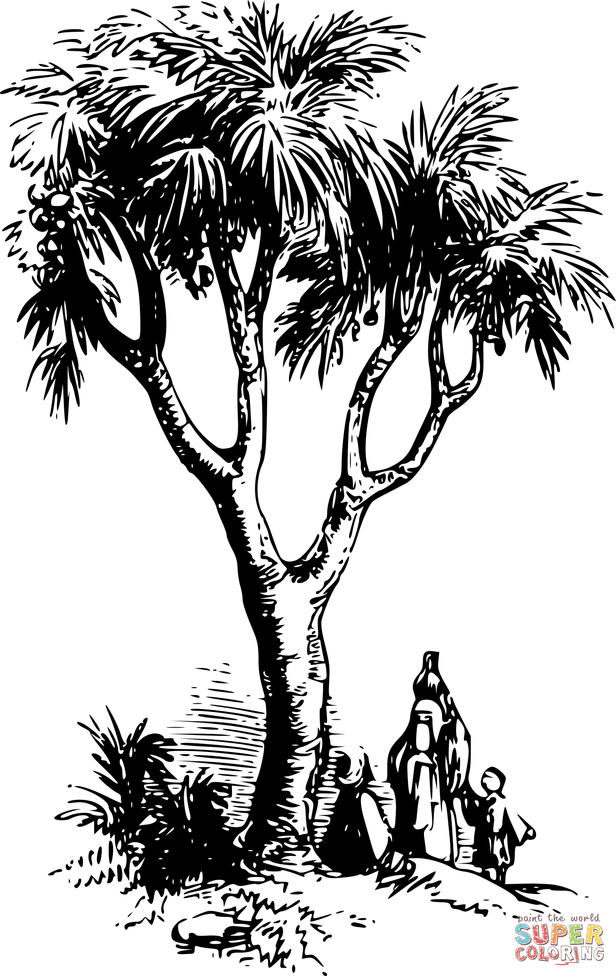 Vintage doum palm coloring page free printable coloring pages