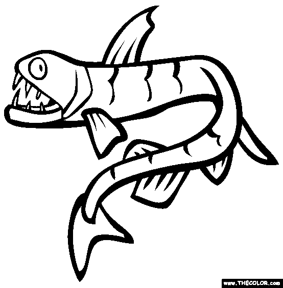 Sea life online coloring pages
