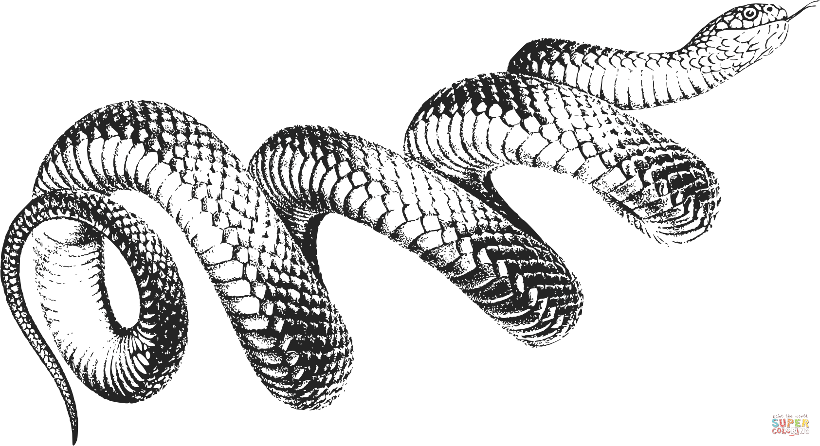 Dibujo de serpiente negra de la vendimia para colorear dibujos para colorear imprimir gratis