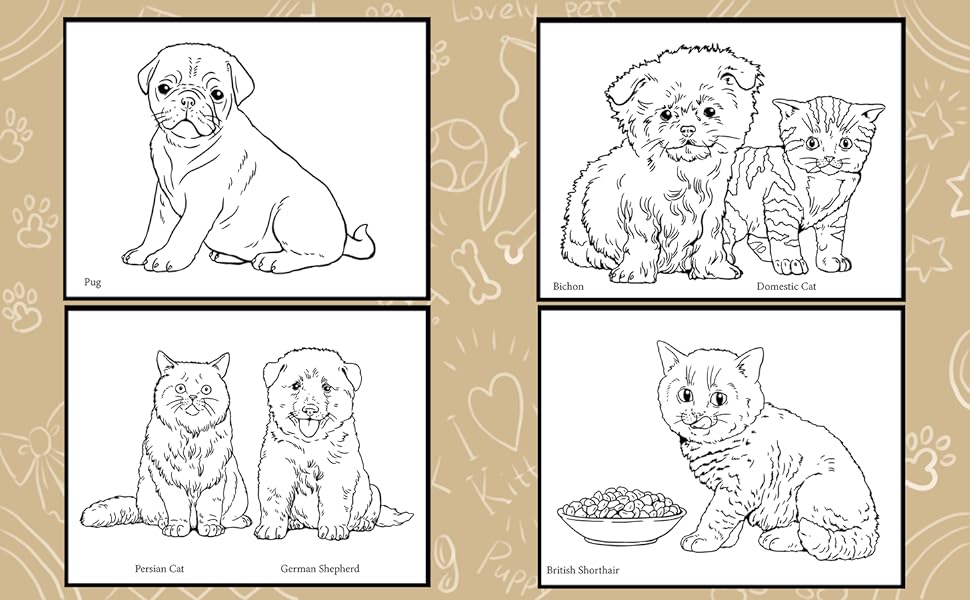 Puppies and kittens coloring book puppies and kittens for kids and adults coloring book with designs french bulldog pug spitz persian cat and more x inches lunyakov sascha books