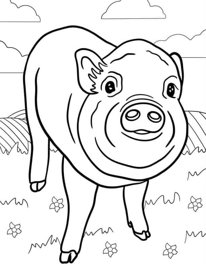 Pigs coloring pages by coloringpageswk on