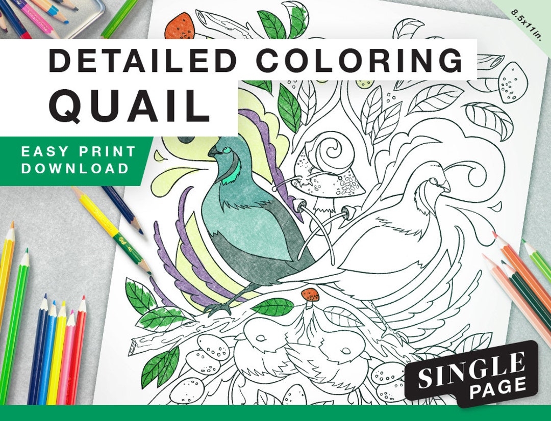 Printable coloring page for grownups quail bird woodland animal single