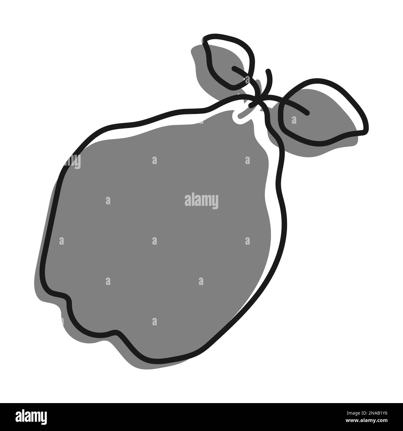 Quince quince black and white stock photos images