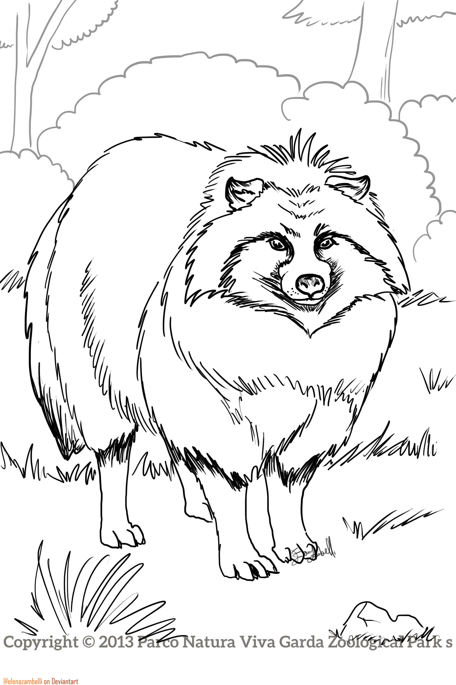 Raccoon dog coloring sheet pnv by elenazambelli on