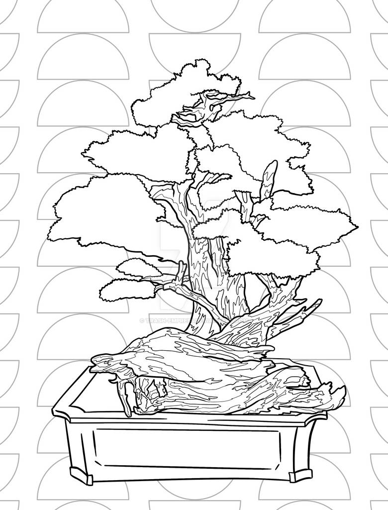 Blissful bonsai coloring pages
