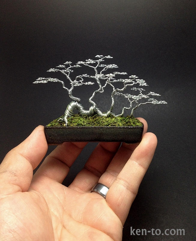 Raft style wire bonsai tree sculpture by ken to by kentoart on
