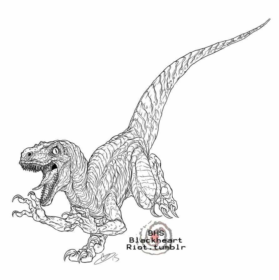 Raptor dinosaur coloring pages dinosaur coloring coloring pages