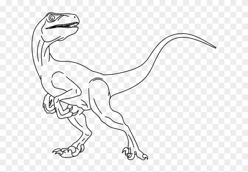 Dinosaurs drawing raptor