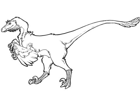 Raptor dinosaur coloring page raptor dinosaur dinosaur coloring pag dinosaur coloring