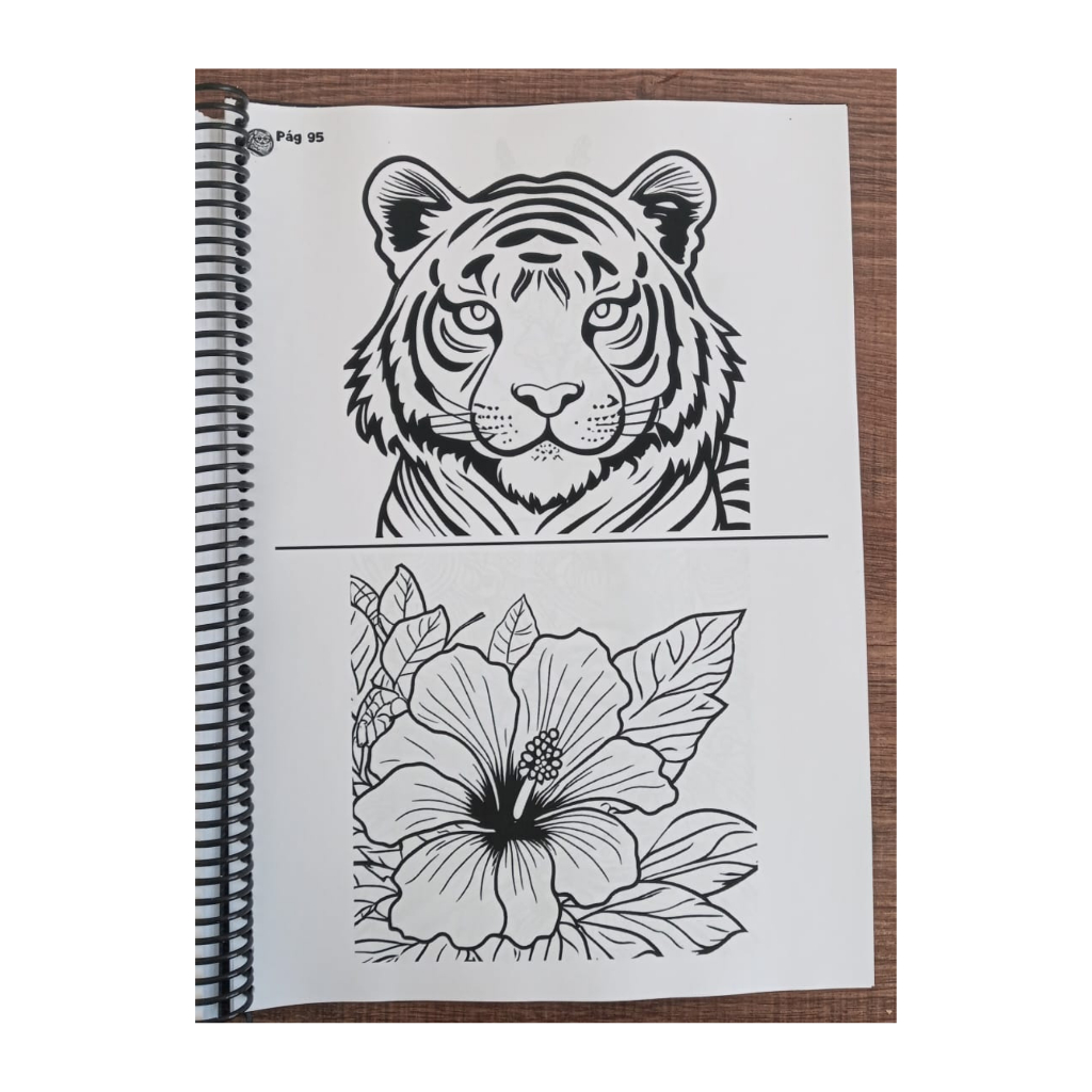 Caderno para colorir pintar