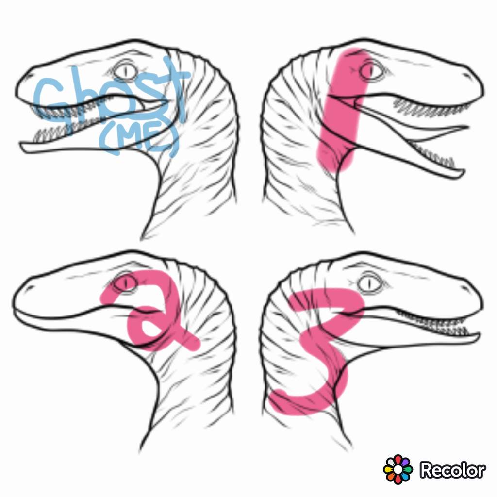 Raptor squad jurassic park amino