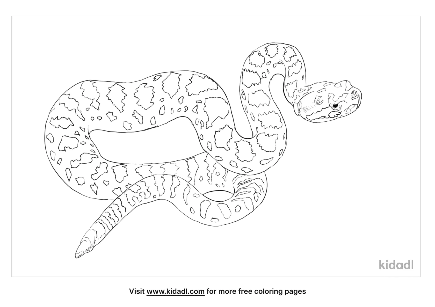 Free timber rattlesnake coloring page coloring page printables