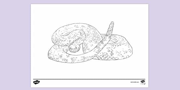 Rattlesnake lourg sheet lourg sheets