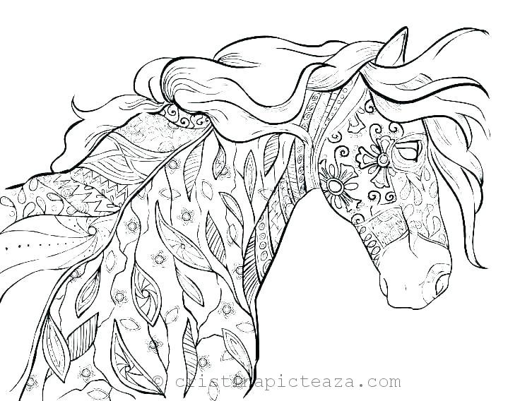Horse coloring pages â drawing sheets with horses