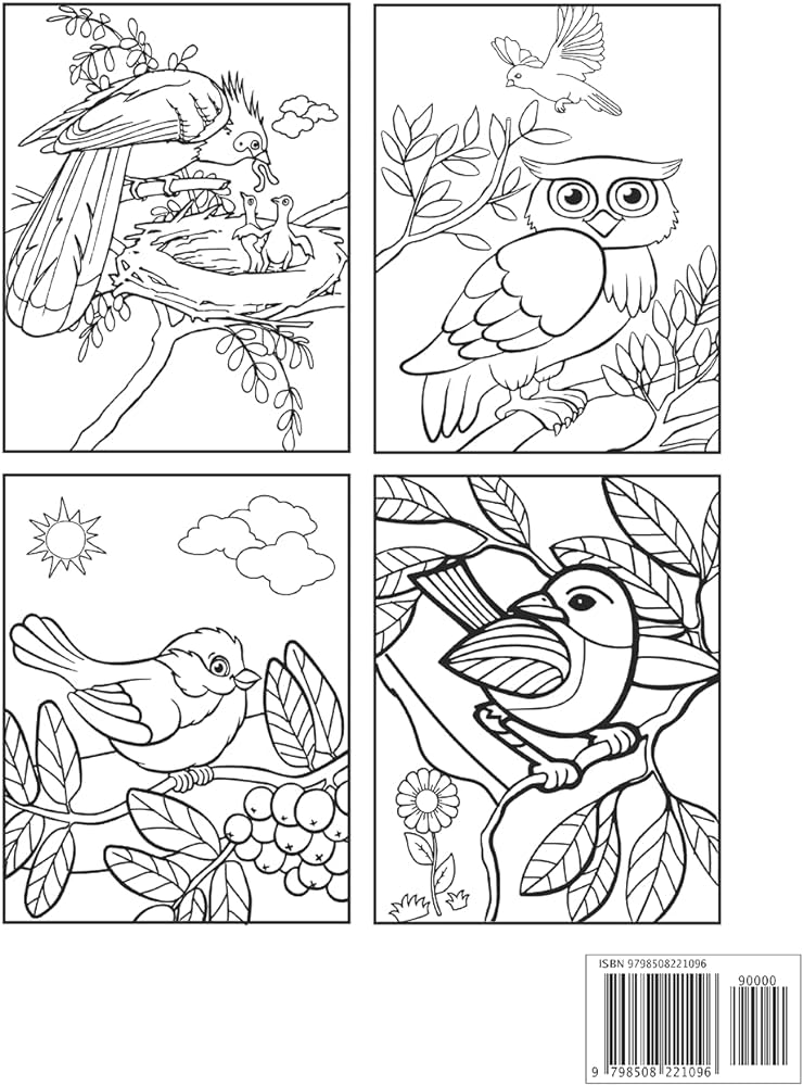 Bird lovers coloring book magnificent colorful birds bird coloring book gifts for birds lover