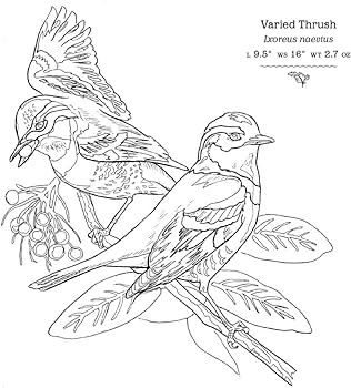 The sibley birds coloring field journal sibley david allen books