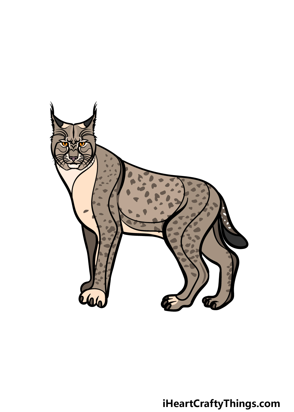 Bobcat drawing
