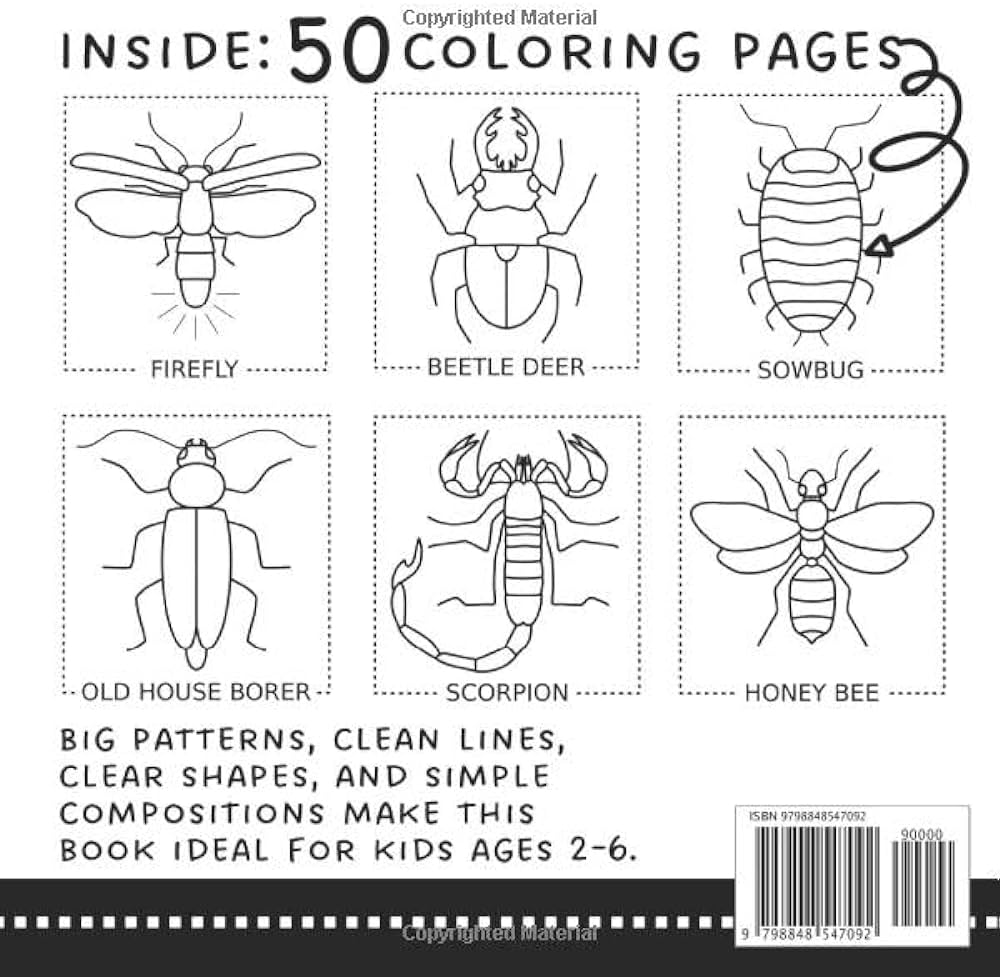 Bug coloring book educational coloring pages of realistic insects for toddlers and kids ages