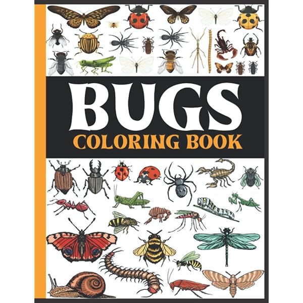 Bug coloring book for kids educational coloring pages of realistic insects for toddlers and preschoolers easy entomology illustrations with big patterns clean lines and simple positions steen
