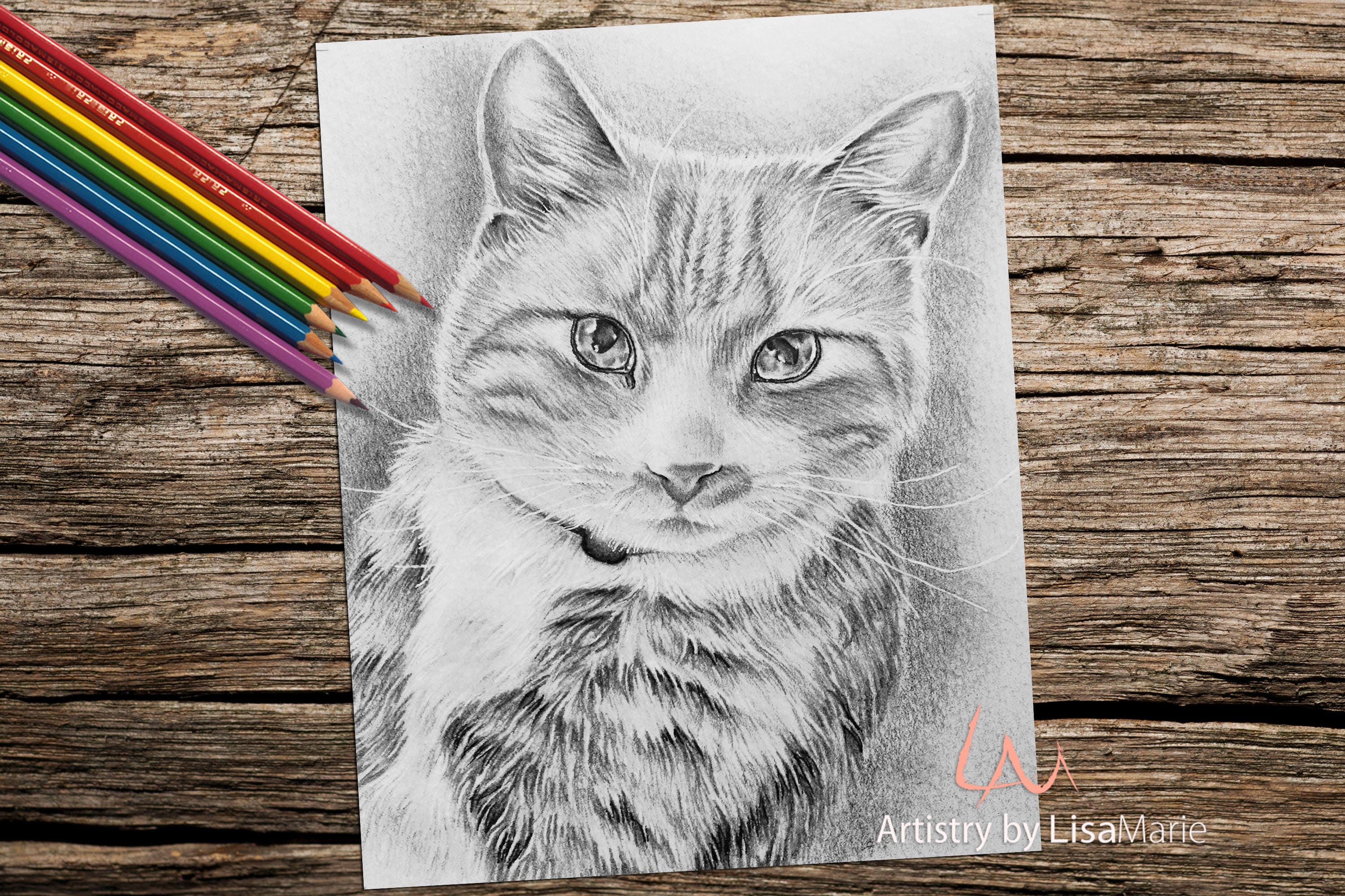 Kitten cat coloring book page adult coloring book coloring page adult coloring pages coloring book for adult best selling cat art