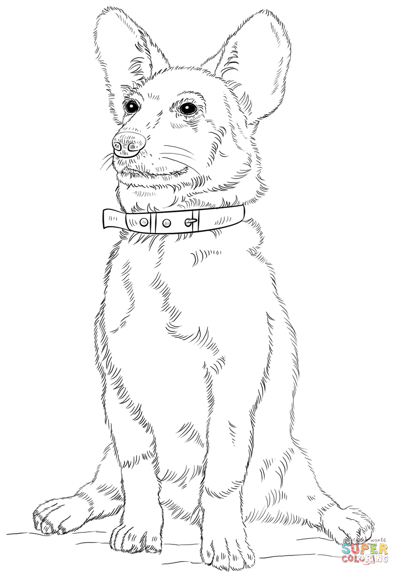 Corgi dog coloring page free printable coloring pages