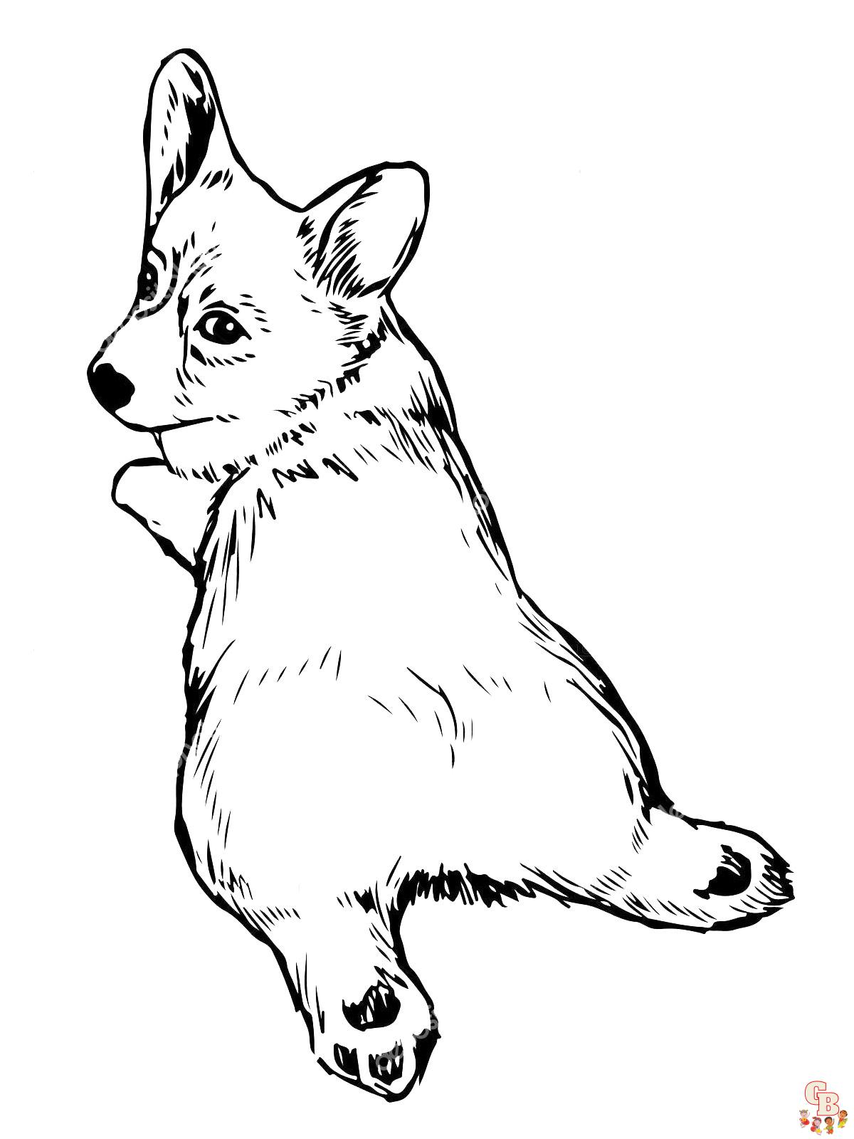 Free corgi coloring pages download print today