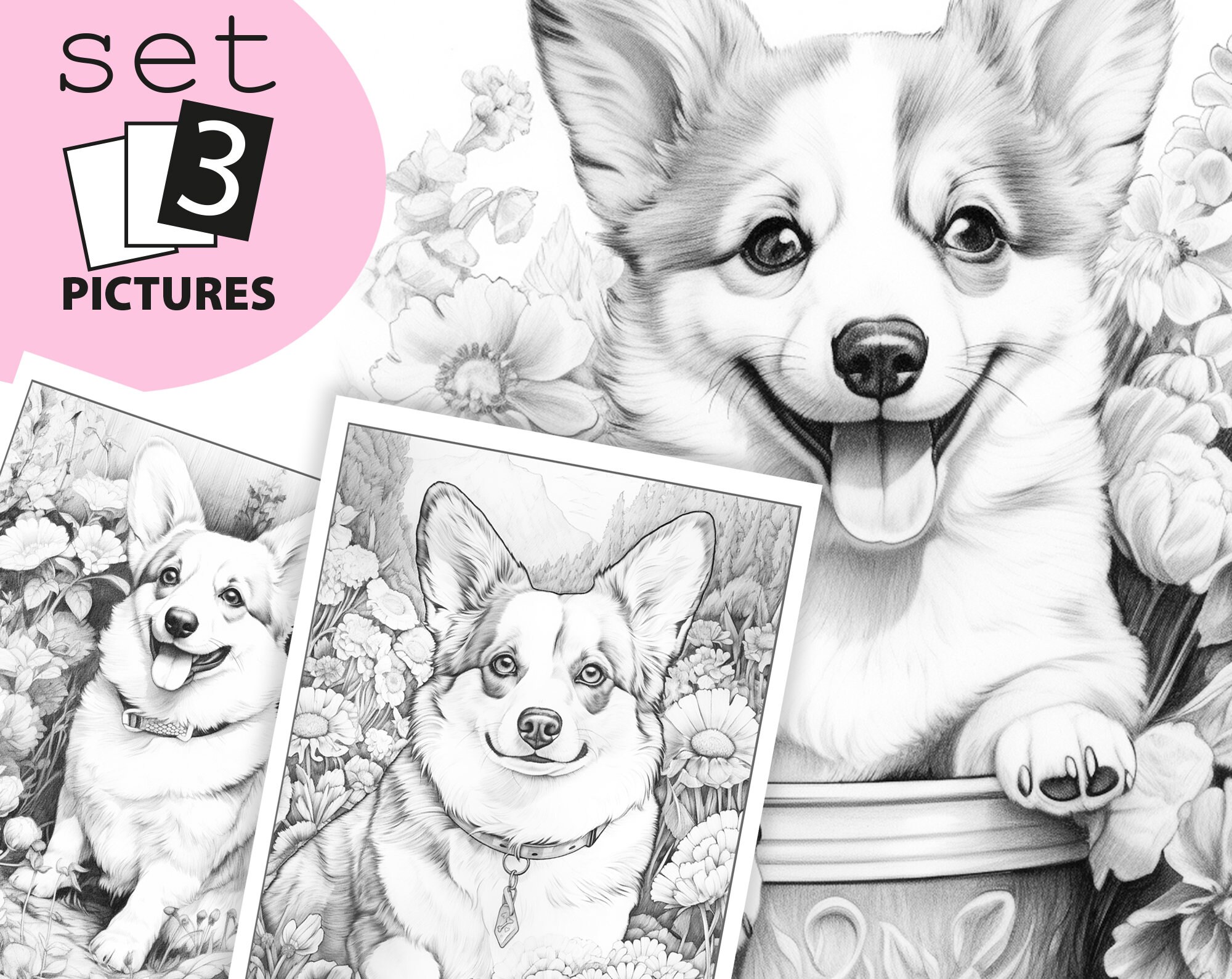 Corgi coloring pages for kids printable colouring pages book set pictures instant download grayscale illustration jpg