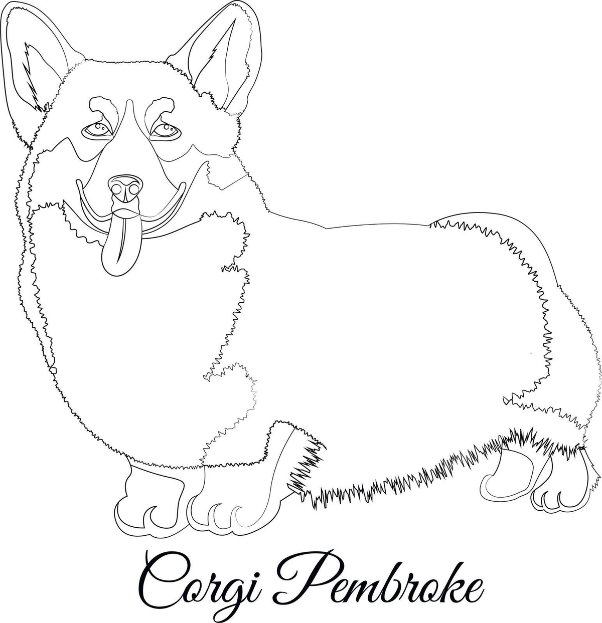 Welsh corgi dog outline vector coloring contour welsh dog vector contour welsh dog png and vector with transparent background for free download