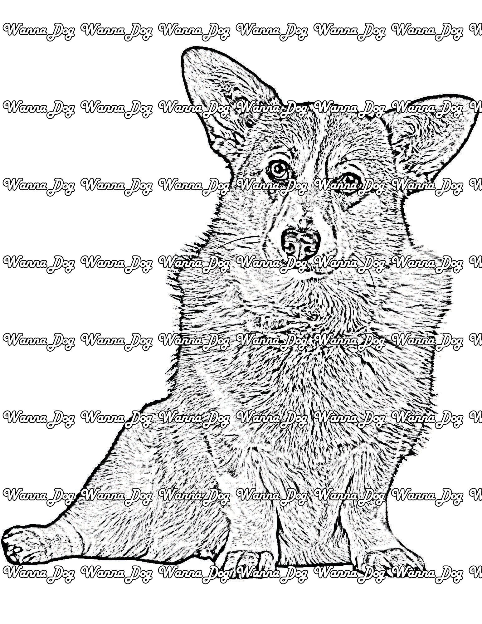 Corgi coloring pages â wanna dog