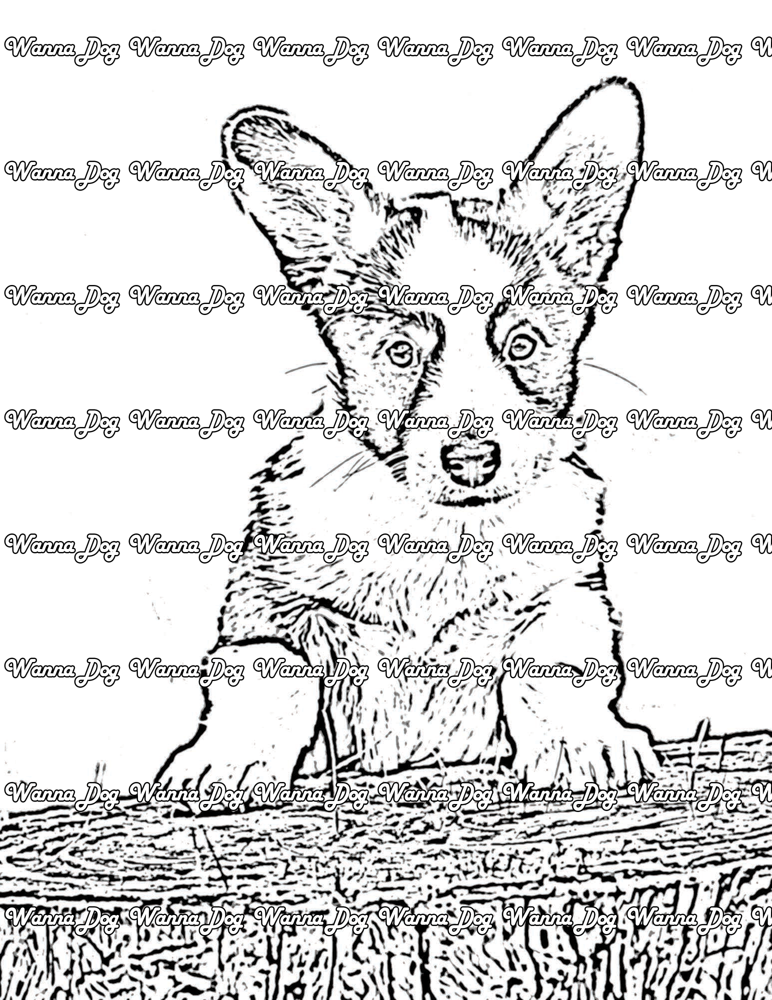 Corgi coloring pages â wanna dog