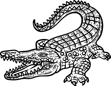 Crocodile coloring vector art png images free download on