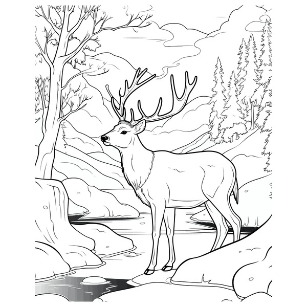 Deer sketch color royalty
