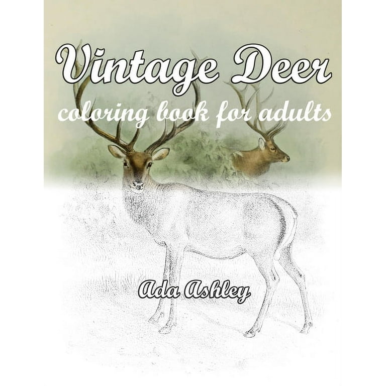 Vintage deer coloring book for adults relaxation with deer coloring pages of realistic hand