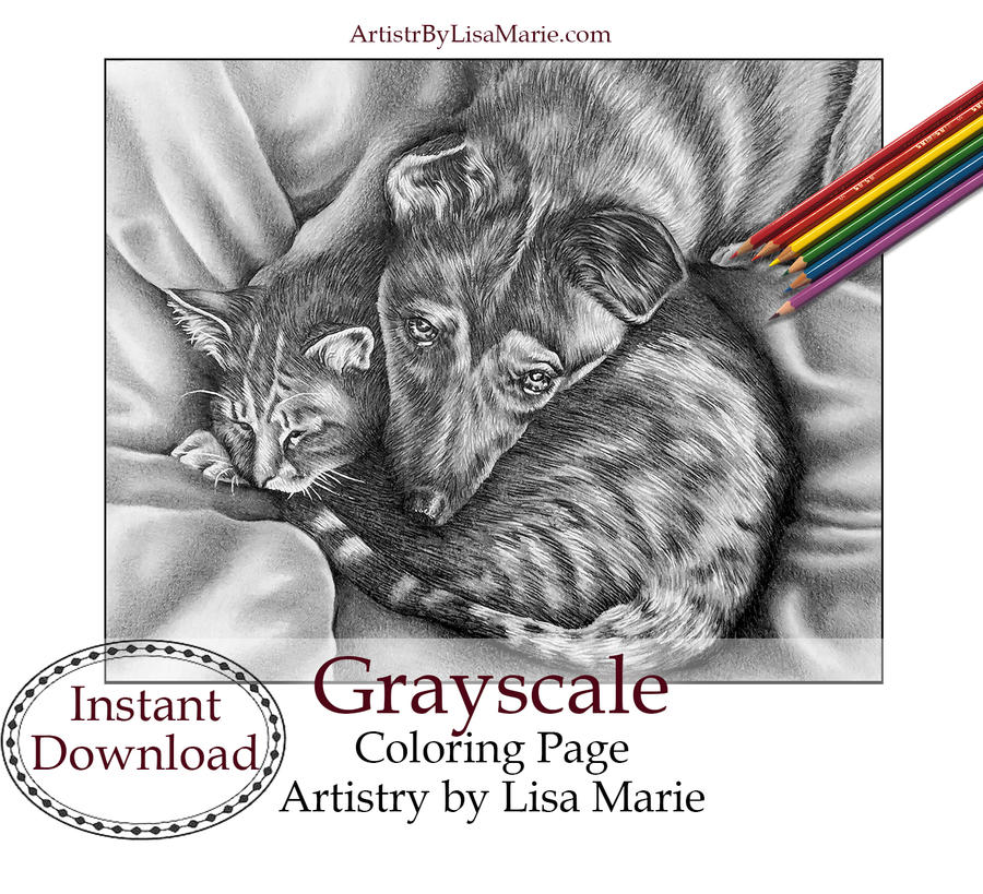 Dog and cat cuddling coloring page by artistrybylm on