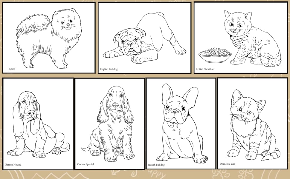 Puppies and kittens coloring book puppies and kittens for kids and adults coloring book with designs french bulldog pug spitz persian cat and more x inches lunyakov sascha books
